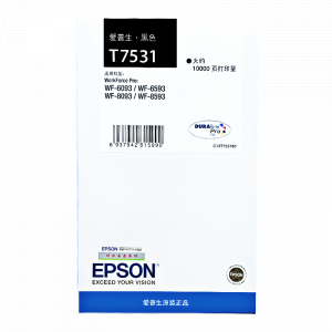 爱普生（EPSON）T7531黑色墨盒适用WF6093/65