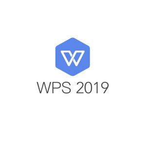 WPSOffice2019专业版办公软件（政府专用一年服务，