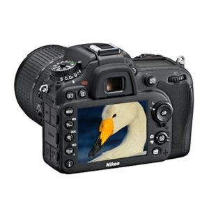 尼康（Nikon）D560018-105照相机套机